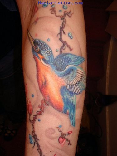 tatoo oiseau bras