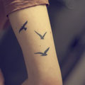 tatoo oiseau bras