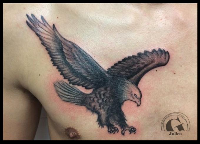 tatouage aigle pectoraux