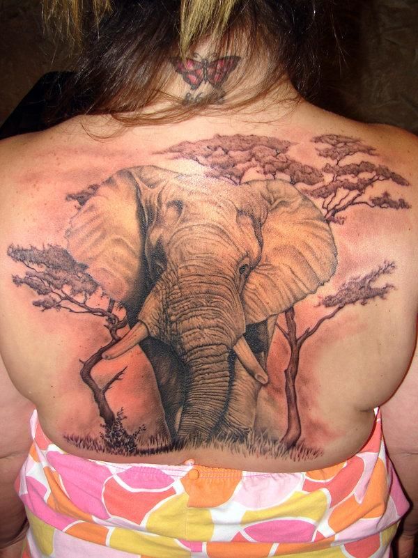 tatouage animaux dos