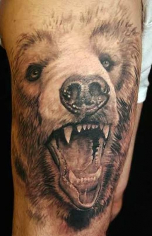 tatouage animaux ours