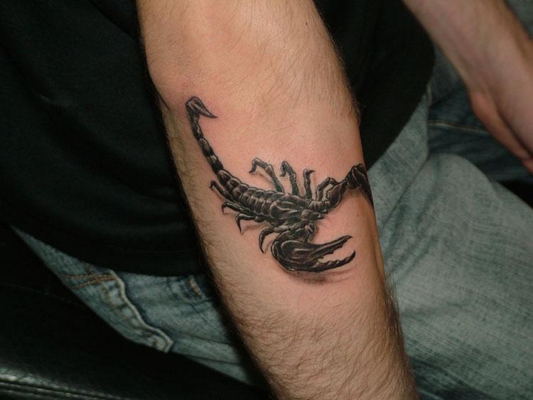 Tatouage avant bras intérieur scorpion
