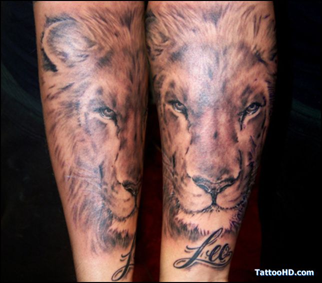 tatouage avant bras lion