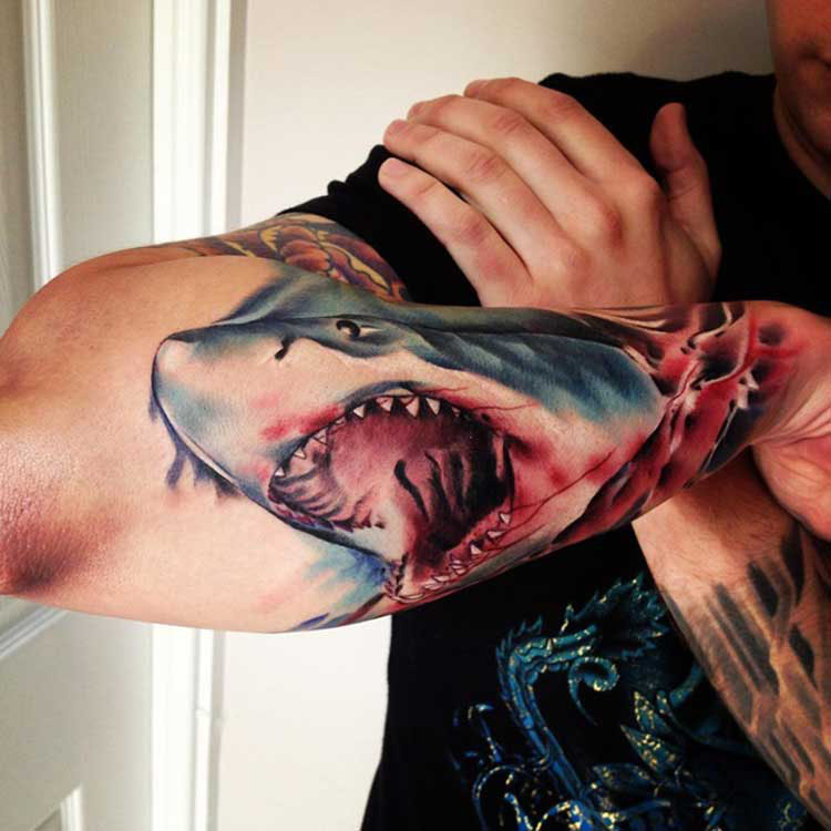 tatouage avant bras requin
