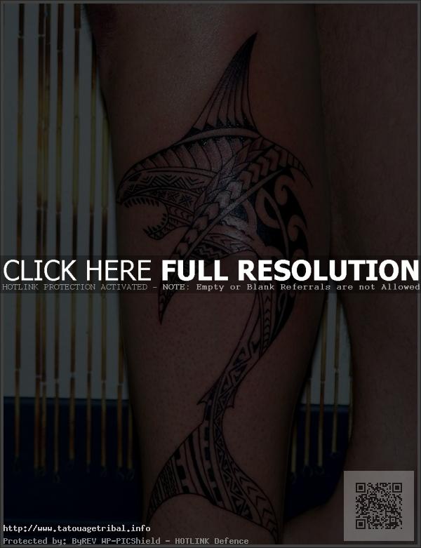 tatouage avant bras requin