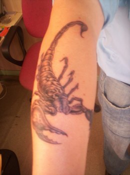 tatouage avant bras scorpion