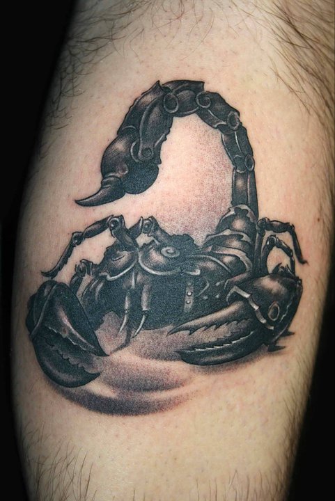 tatouage biomecanique scorpion
