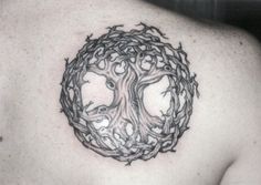 tatouage celtique arbre