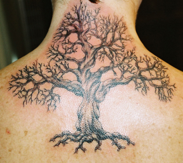 tatouage celtique arbre