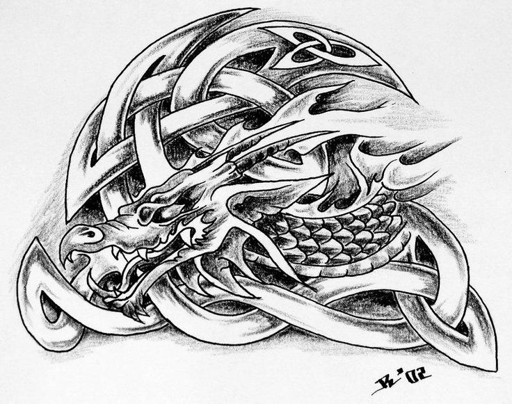 Tatouage celtique dragon