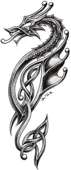 tatouage celtique dragon