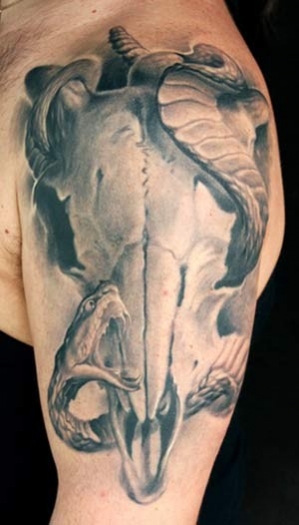 tatouage crane animaux