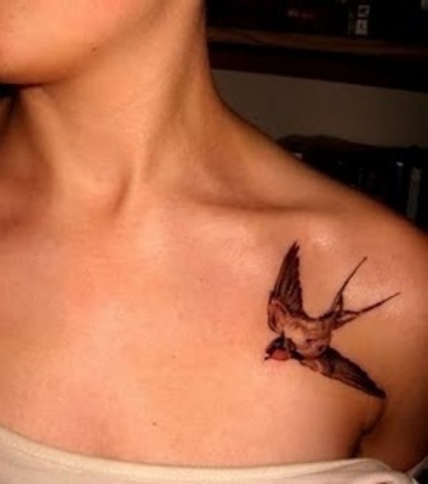 tatouage d'une hirondelle
