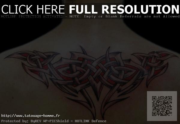 tatouage dos tribal