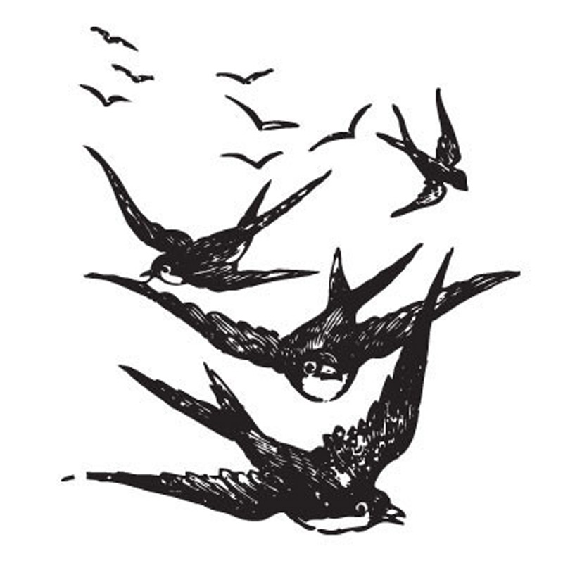 tatouage ephemere hirondelle