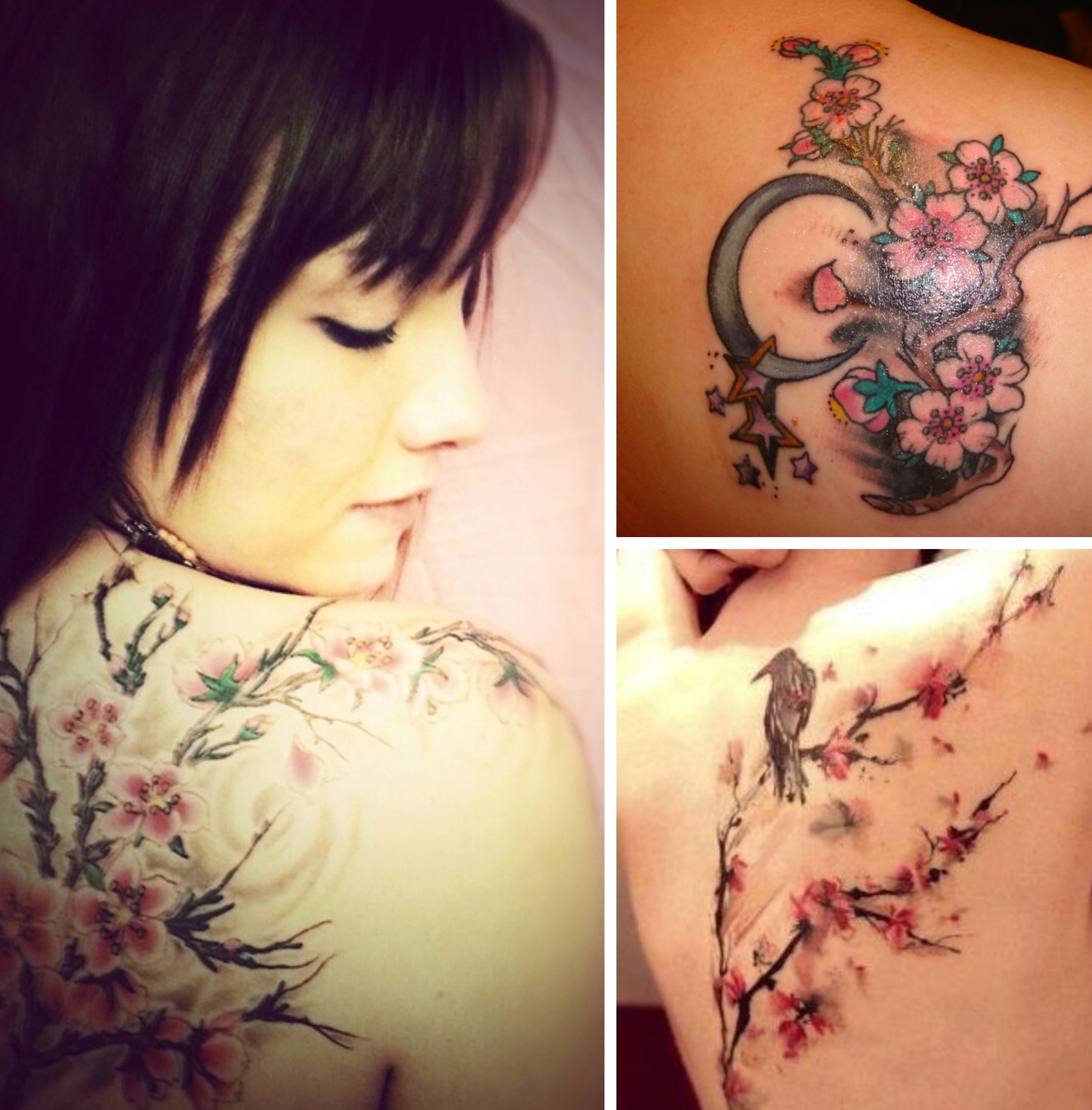 tatouage fleur de cerisier