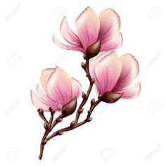 tatouage fleur magnolia