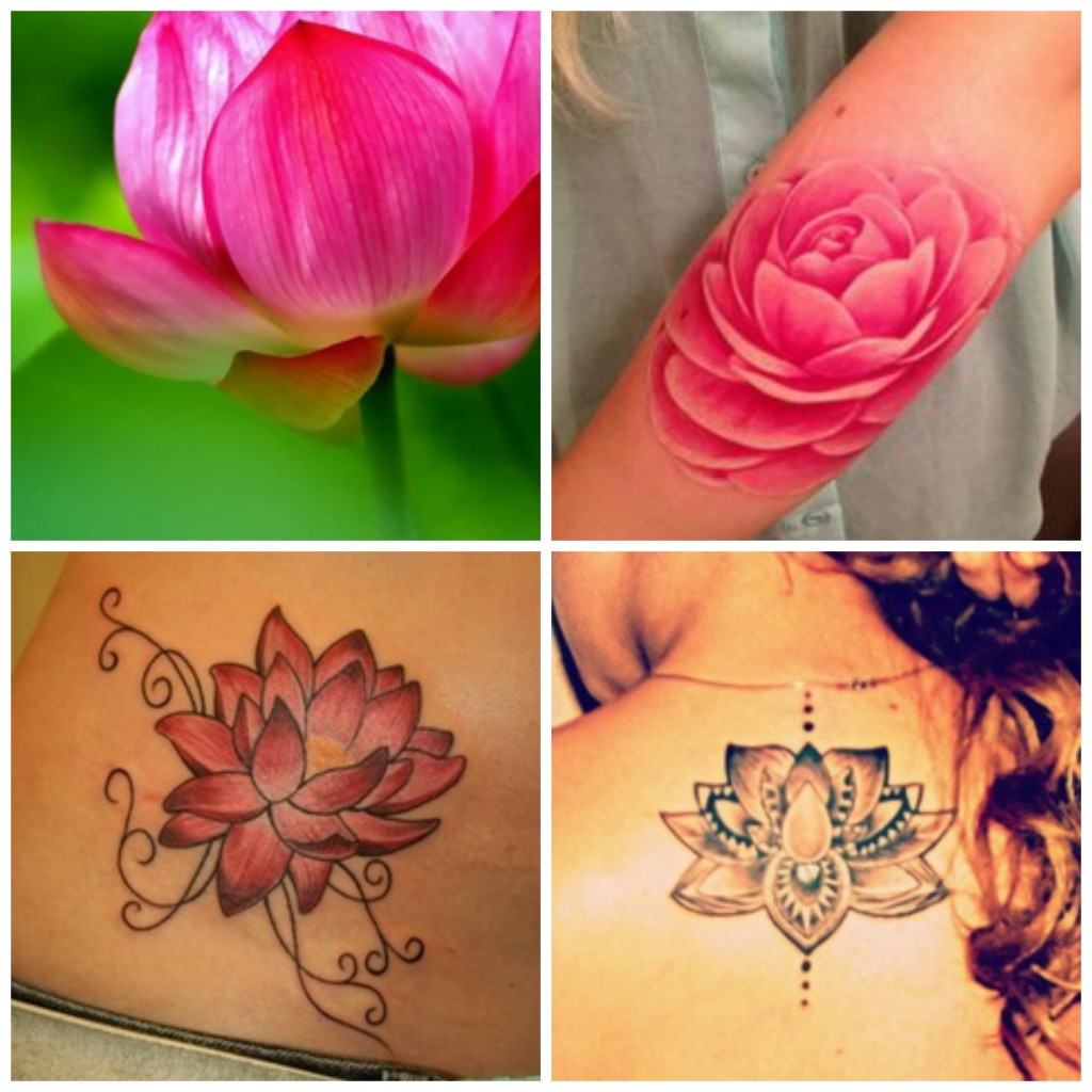 tatouage fleur nenuphare