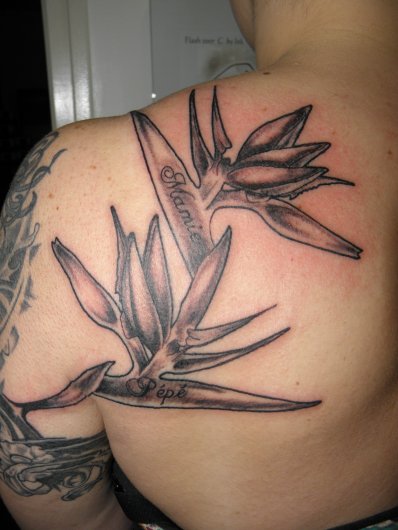 tatouage fleur oiseau du paradis