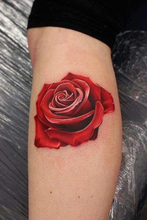 tatouage fleur rose rouge