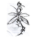 tatouage fleur vanille