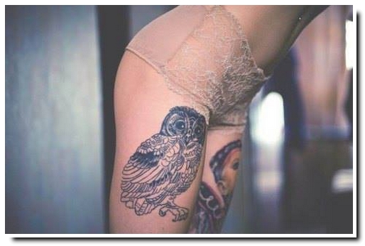 tatouage hibou homme