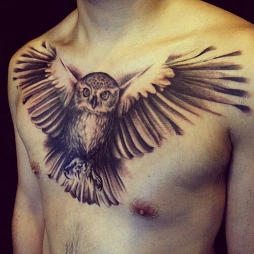 Tatouage hibou poitrine