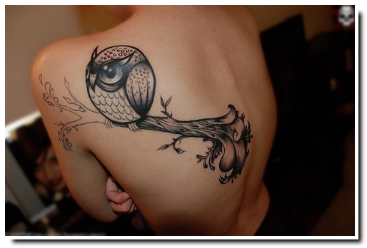 tatouage hiboux dos