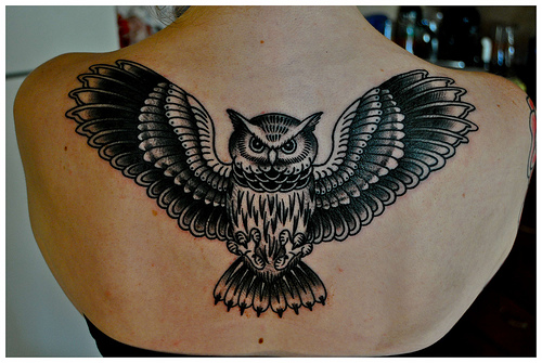 tatouage hiboux dos