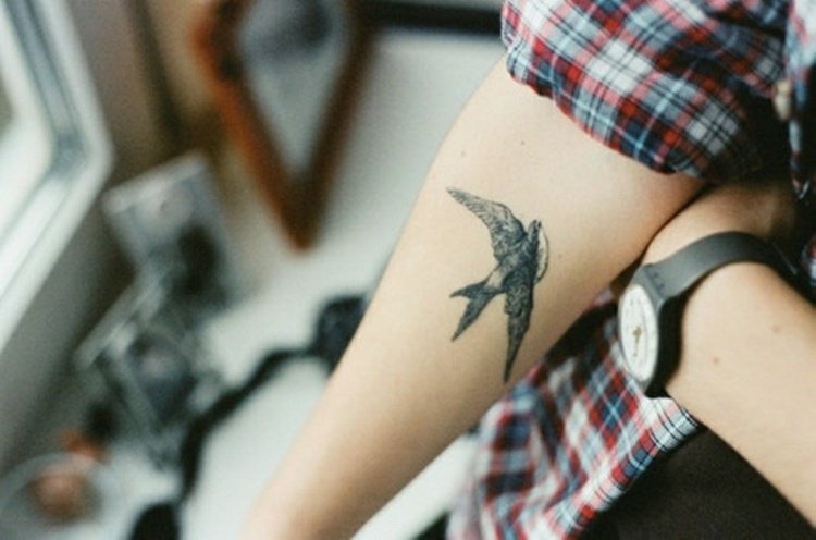 tatouage hirondelle avant bras