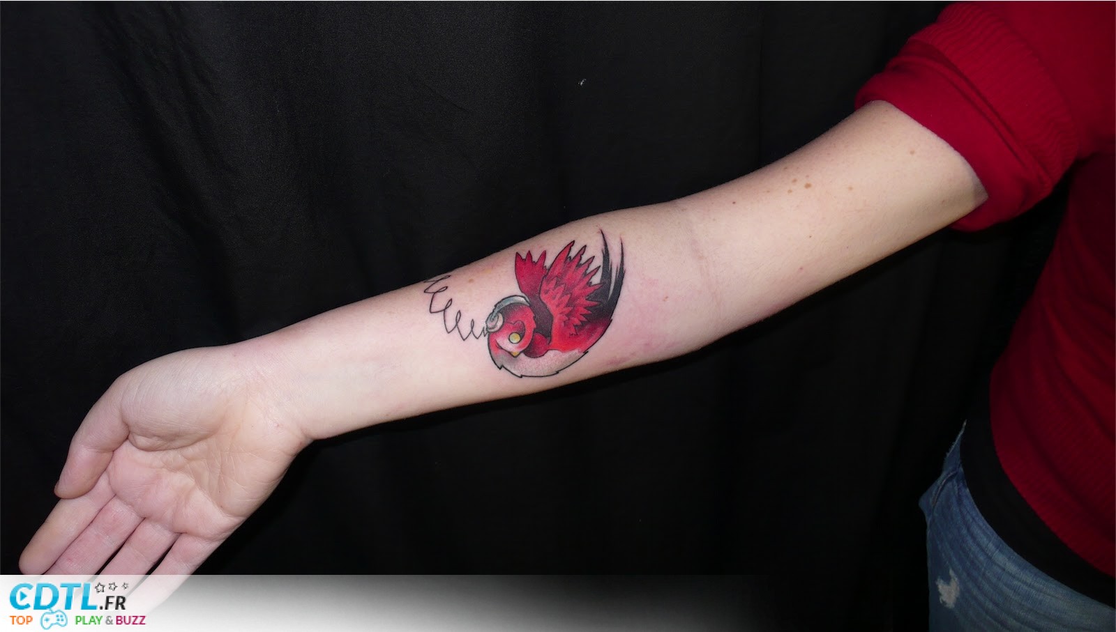 tatouage hirondelle bras