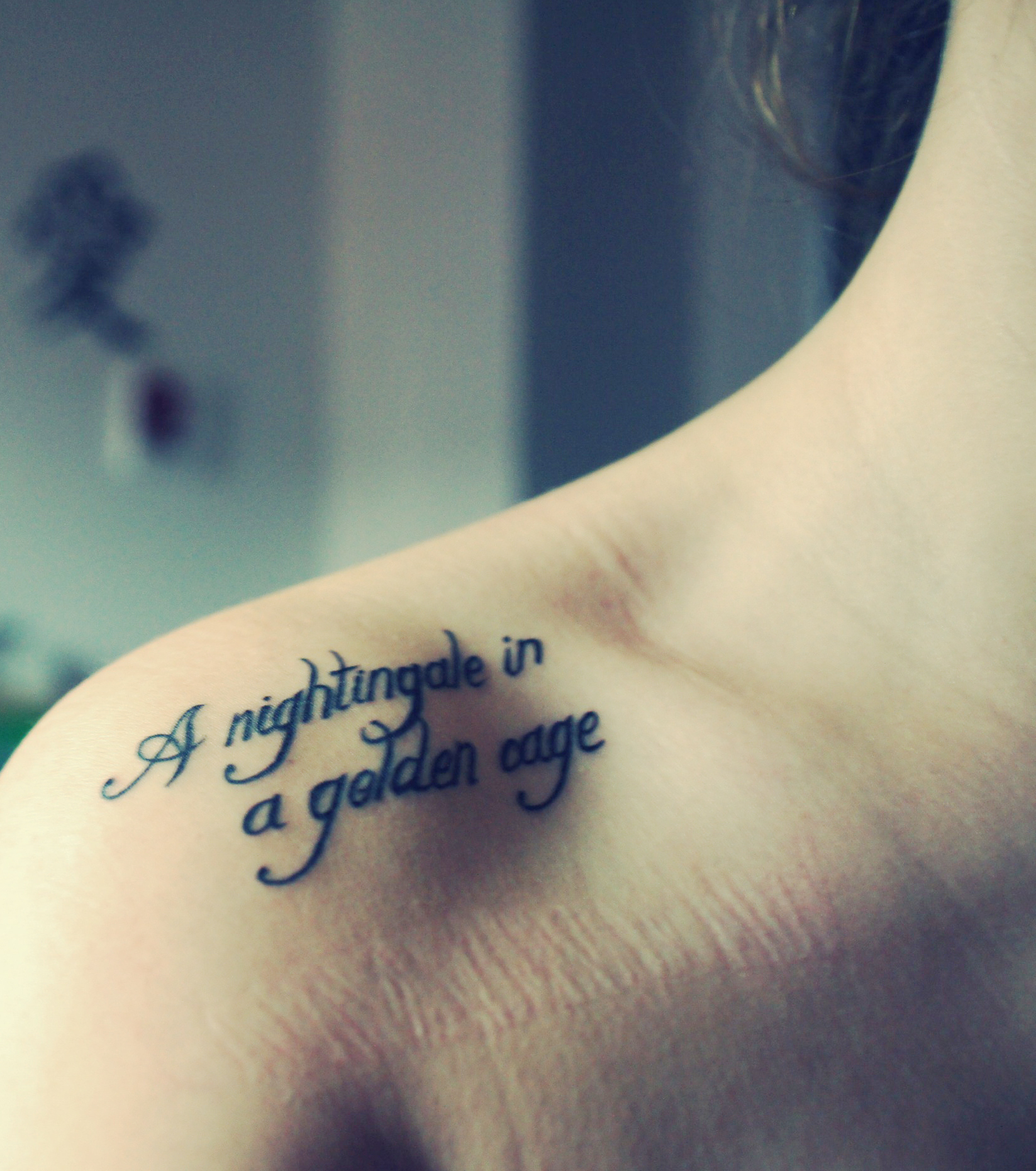 tatouage hirondelle et phrase