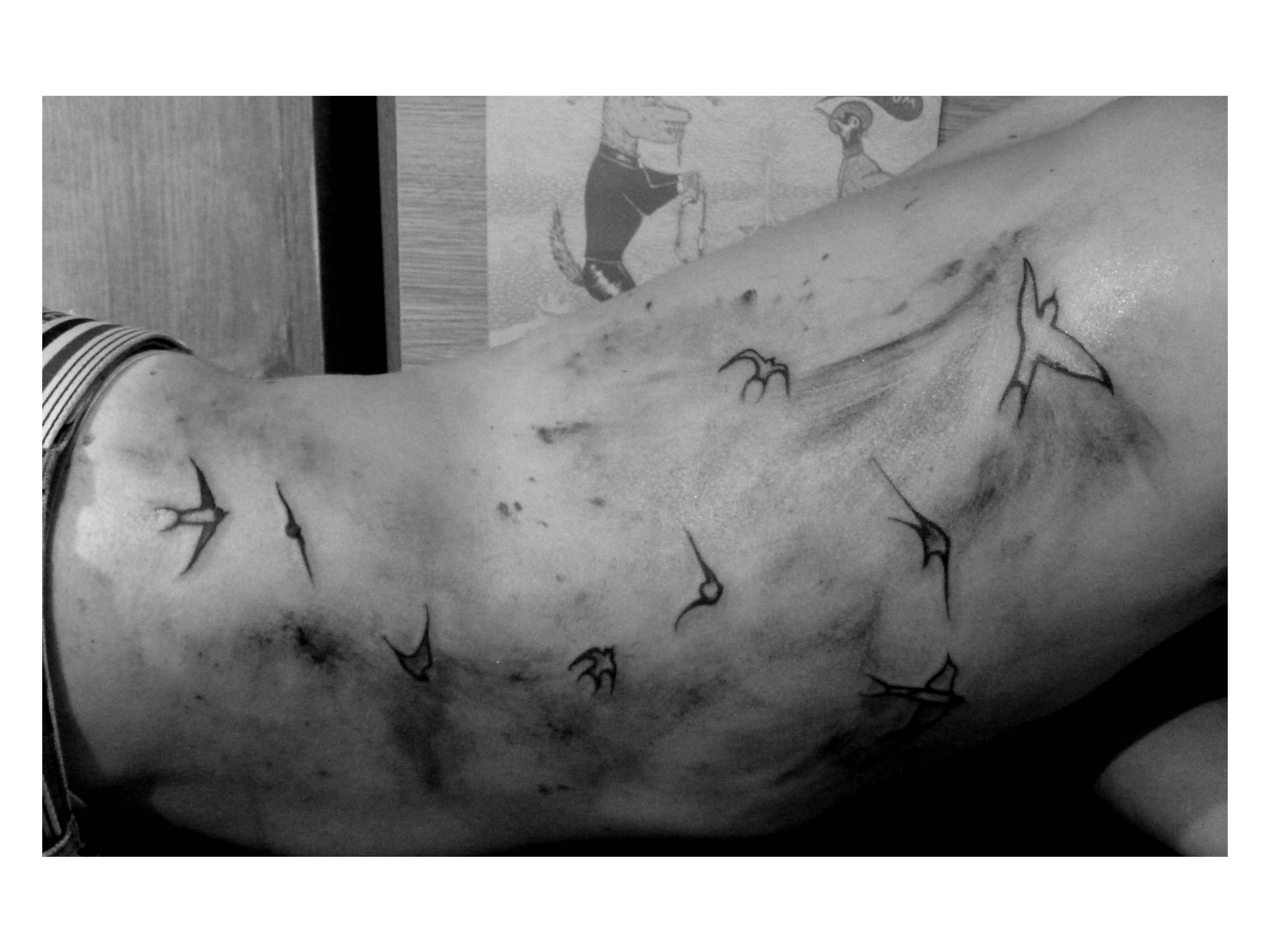 tatouage hirondelle flanc