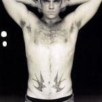 tatouage hirondelle homme