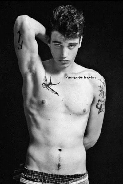 tatouage hirondelle julien secret story