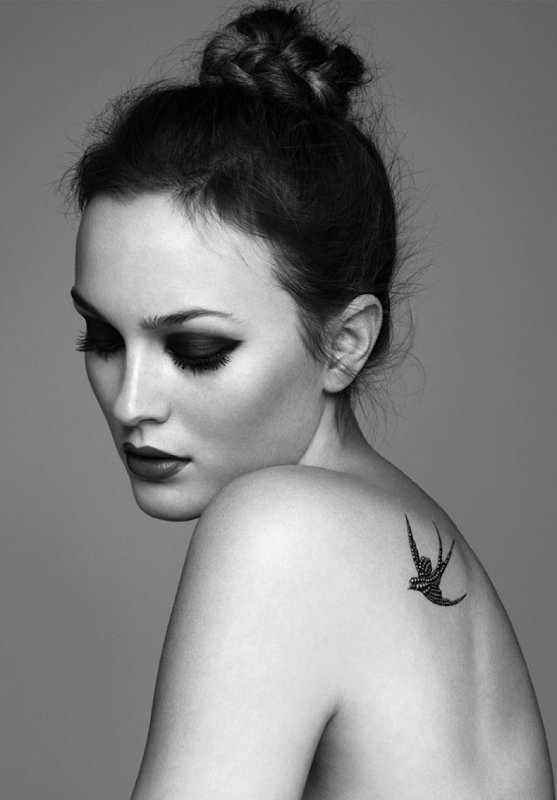Tatouage hirondelle leighton meester