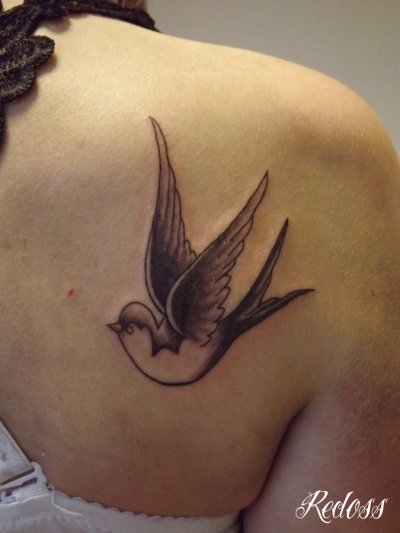 tatouage hirondelle omoplate