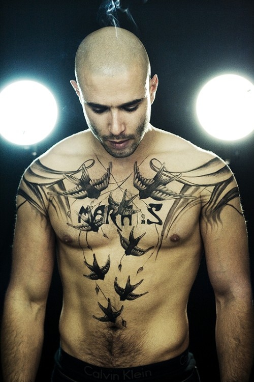 tatouage hirondelle pectoraux