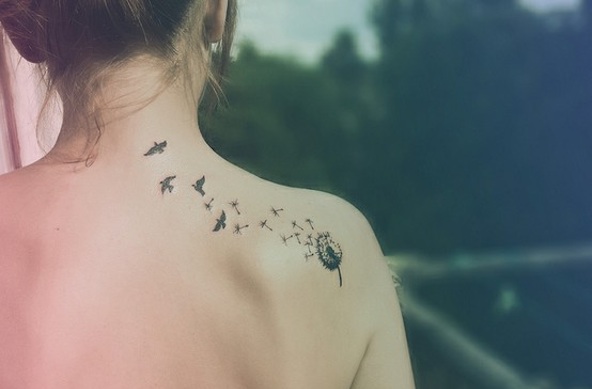 tatouage hirondelle plume