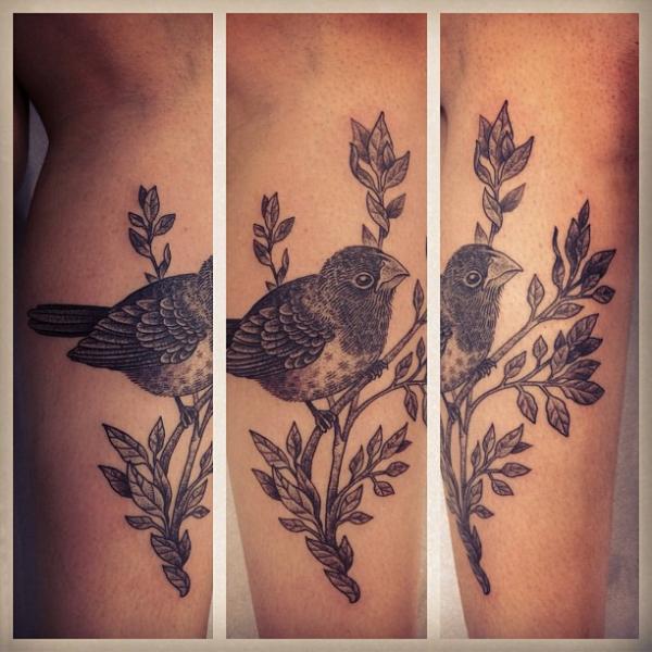 tatouage jambe oiseau