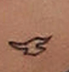 tatouage justin bieber oiseau