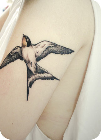 tatouage l'hirondelle