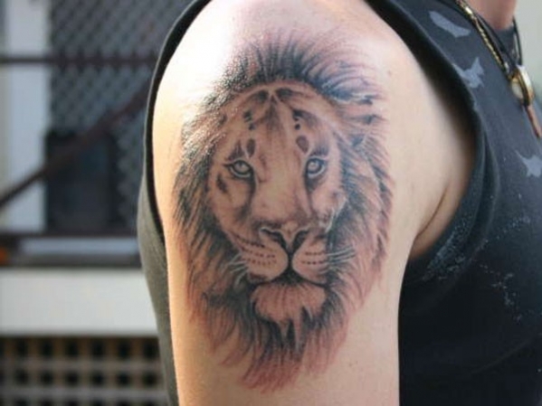 Tatouage lion omoplate