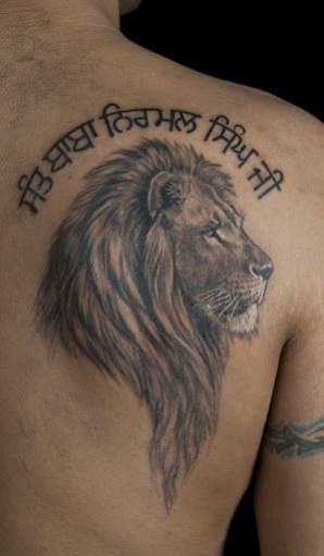 tatouage lion omoplate