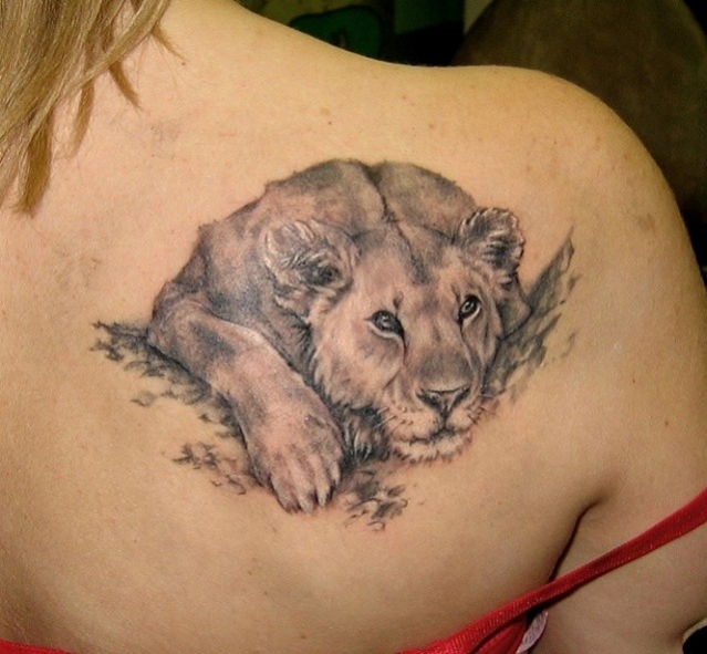 tatouage lion omoplate