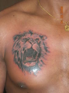 tatouage lion pectoraux