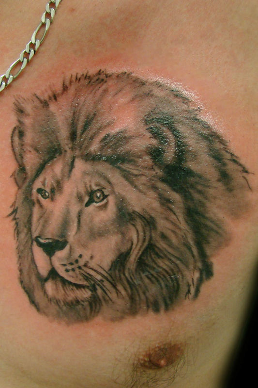 tatouage lion pectoraux