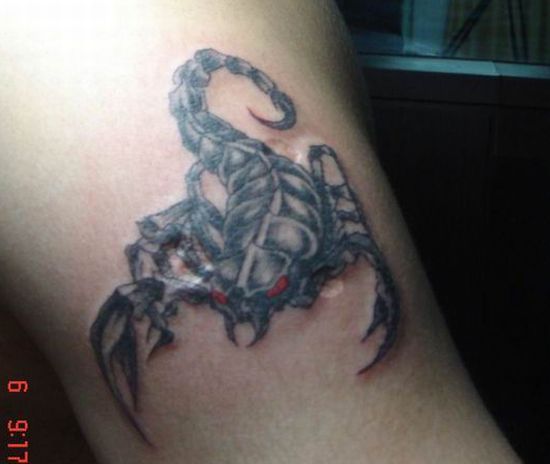 tatouage mollet homme scorpion