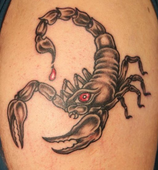 tatouage mollet homme scorpion