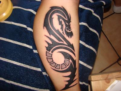 tatouage mollet tribal dragon